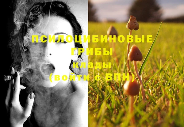каннабис Алексин