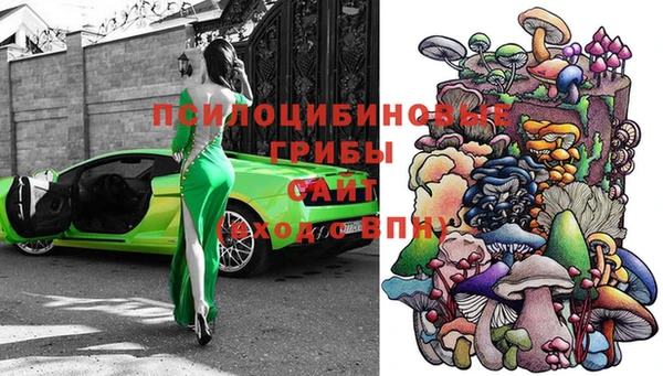 синтетический гашиш Алексеевка