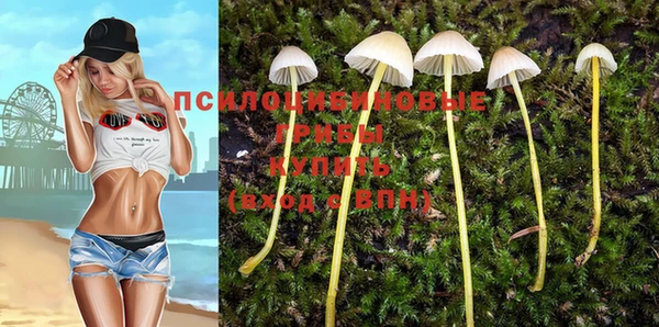 синтетический гашиш Алексеевка