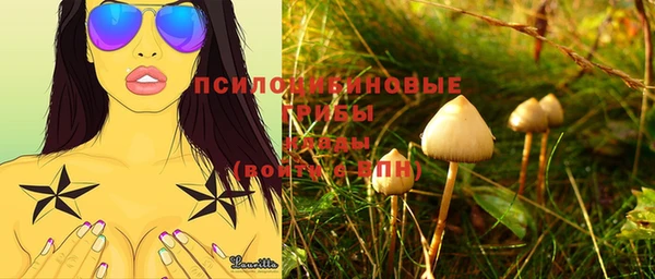 прущие крисы Алзамай